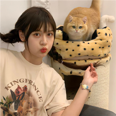 德宏伴游女生星晓莉的资料
